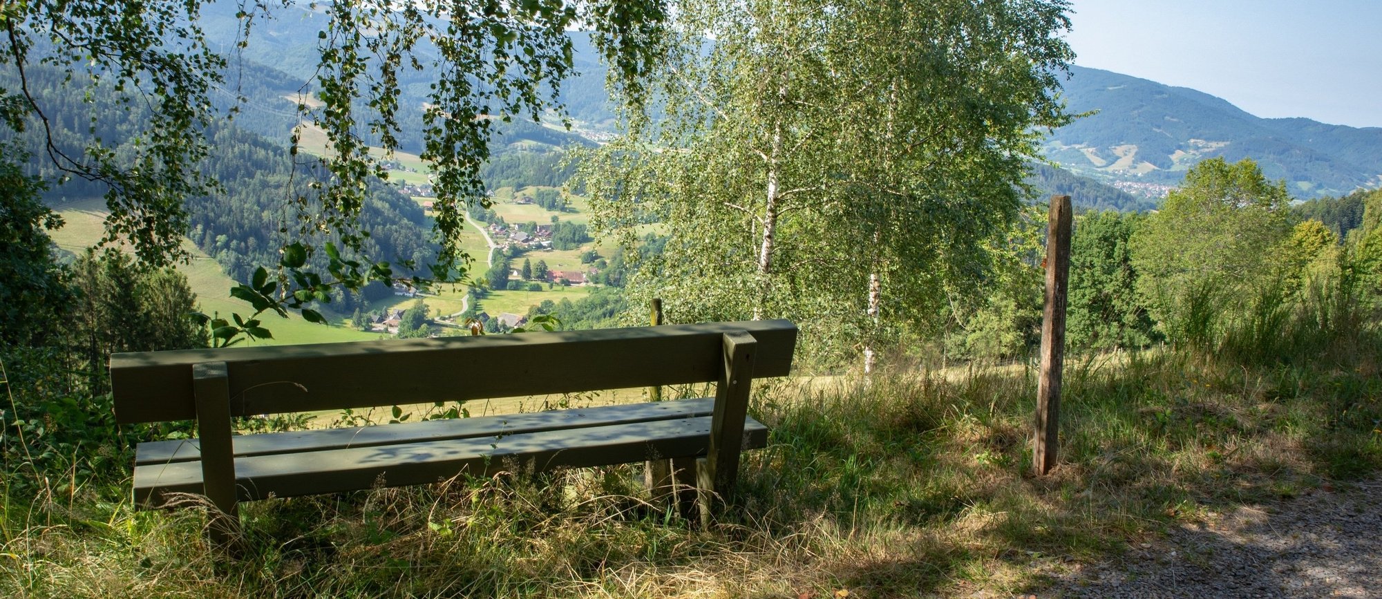 Green fields-6-1 Green fields-6-1